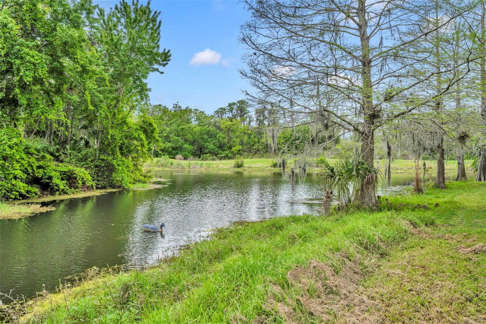 DEER RUN SOUTH PUD PH 01 PRCL 06 - Residential