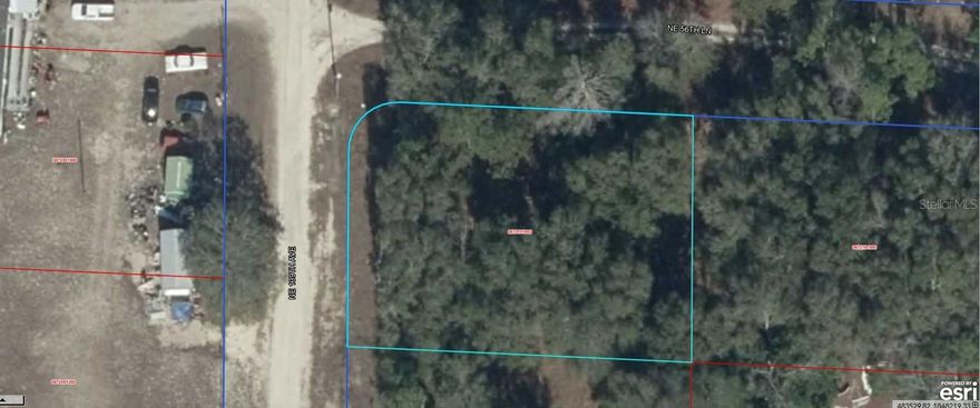 Take advantage of this .32-acre vacant lot ideally located between Bronson and Williston, offering the perfect opportunity to build or invest. This property is suitable for both site-built and manufactured homes, giving you flexibility to create the setup that fits your needs.

Enjoy the benefits of no HOA restrictions and lower Levy County taxes, making this an affordable option for homeowners and investors alike. The area provides a peaceful rural setting while still being within a short drive to local amenities, schools, and outdoor attractions.

Whether you're looking to build now or hold for future value, this lot offers strong potential in a growing area.