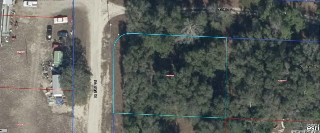 Photo of 6721 NE 139th Avenue, Williston, FL 32696 (MLS # A4688296)