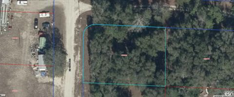Photo of 6721 NE 139th Avenue, Williston, FL 32696 (MLS # A4688296)