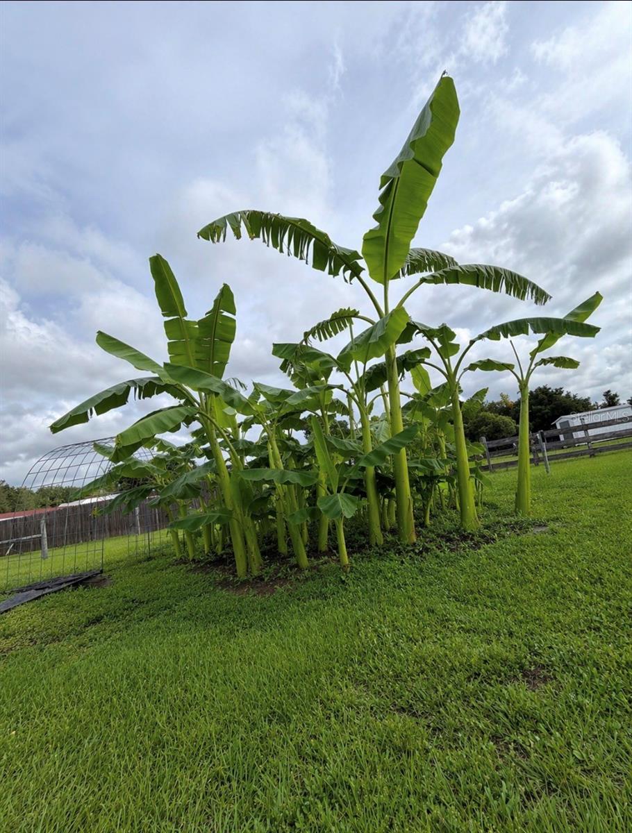 S L & I C - Residential