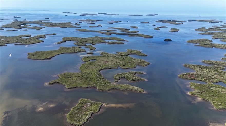 This 17+ acre private island in the Suncoast Keys is just a short boat ride from Homosassa Springs and Crystal River. Surrounded by waters famous for scalloping, fishing, and endless boating trails, it has the kind of setting that still feels natural—ready for a fish camp, island retreat, or scalloping-season getaway. Near the 23,000-acre St. Martins Marsh Aquatic Preserve and close to Ozello Keys Marina, public boat ramps, and waterfront restaurants, this is a stretch of coast that still feels like Old Florida, with laid-back boating days and life on the water. A place to create your own tropical getaway and enjoy the quiet sunsets of the Nature Coast. The owner will finance; seller financing is available.