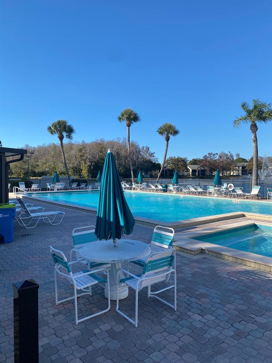 PINE RIDGE AT LAKE TARPON VILLAGE - Residential