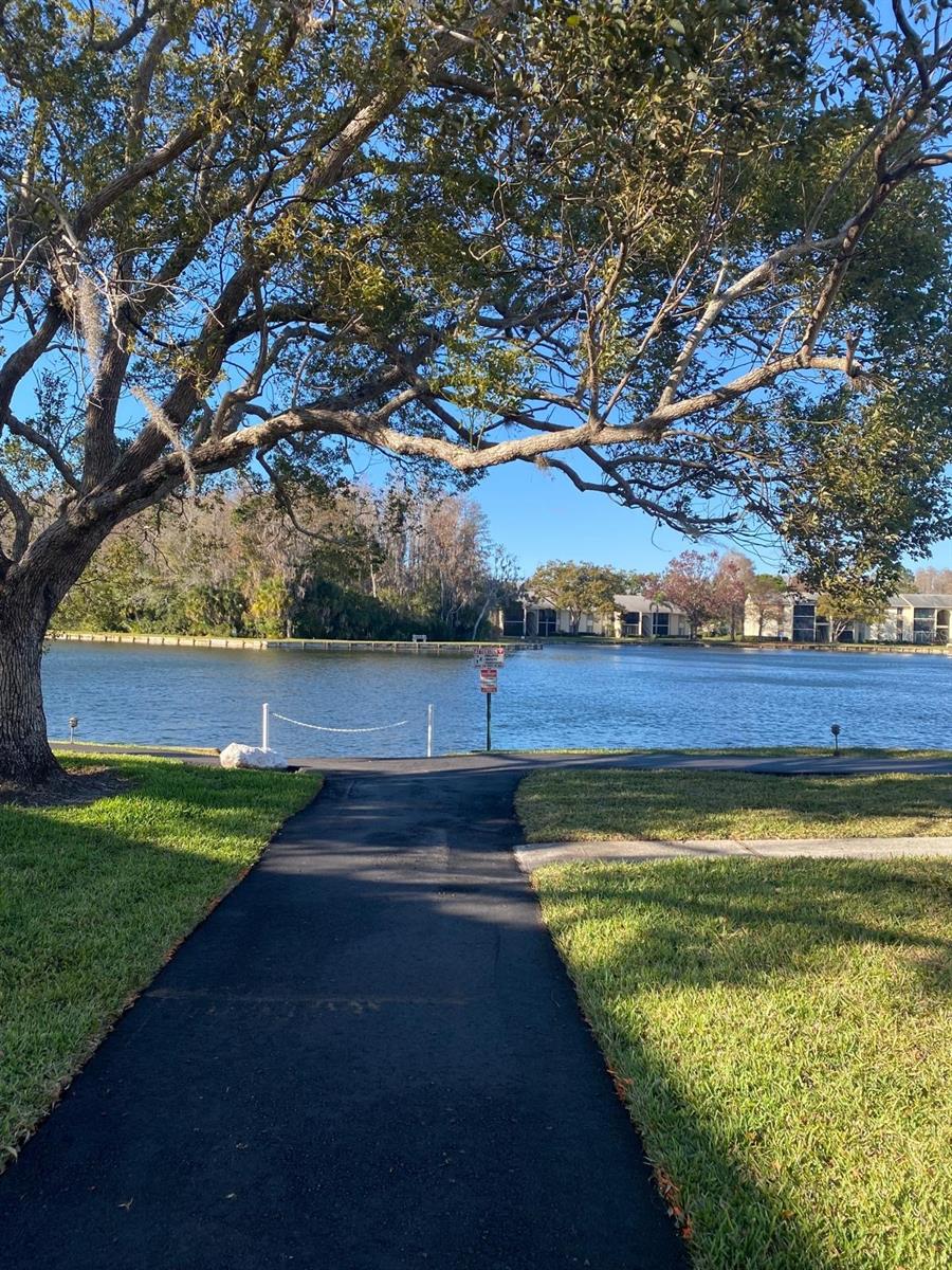 PINE RIDGE AT LAKE TARPON VILLAGE - Residential