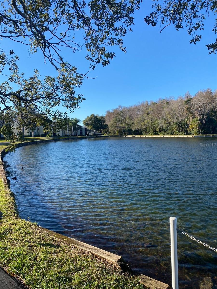 PINE RIDGE AT LAKE TARPON VILLAGE - Residential
