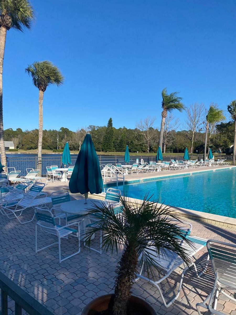 PINE RIDGE AT LAKE TARPON VILLAGE - Residential