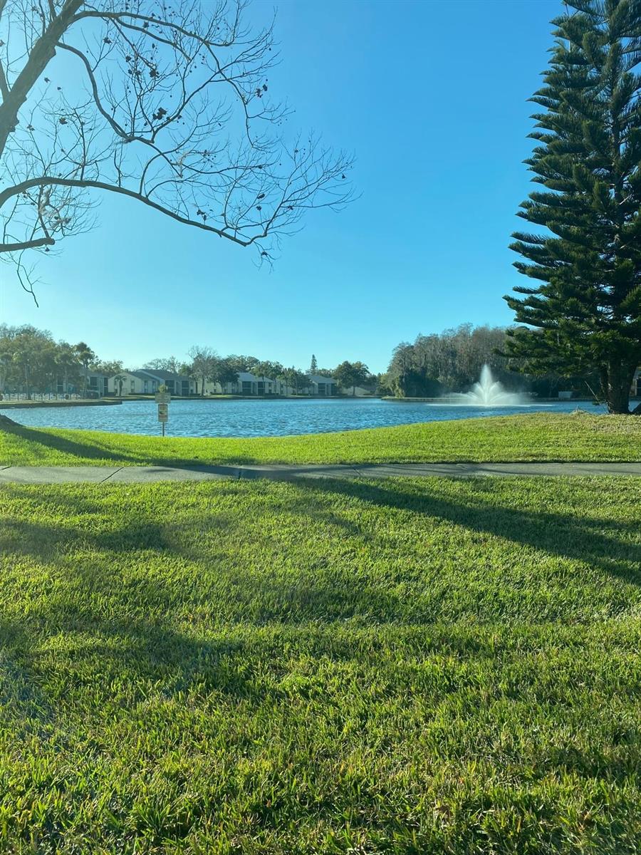 PINE RIDGE AT LAKE TARPON VILLAGE - Residential