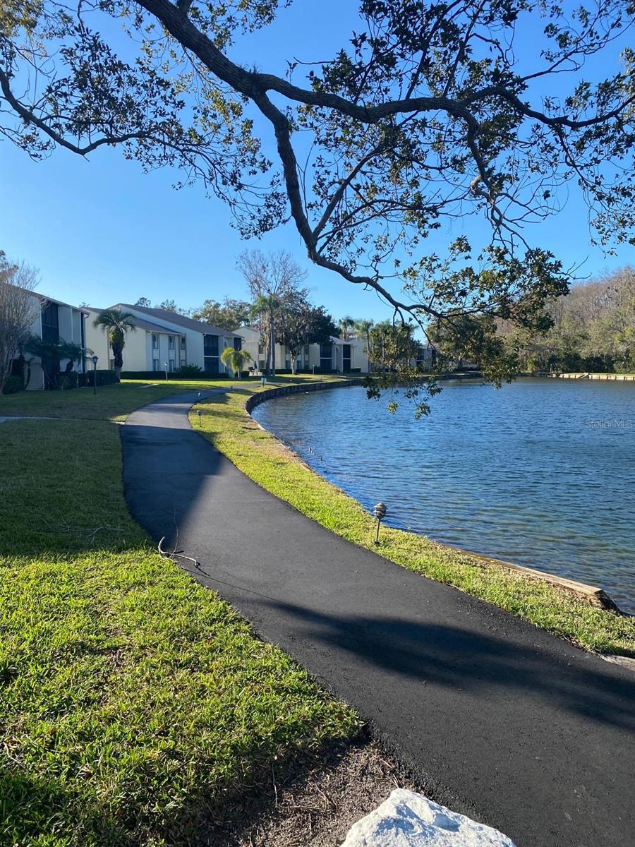 PINE RIDGE AT LAKE TARPON VILLAGE - Residential