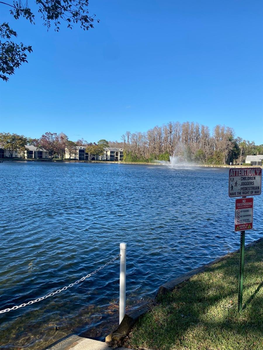 PINE RIDGE AT LAKE TARPON VILLAGE - Residential