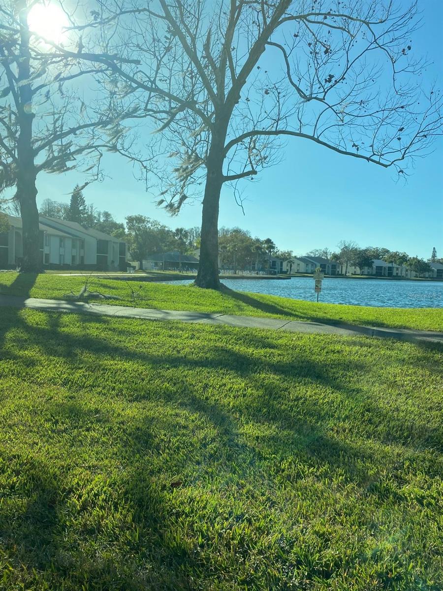 PINE RIDGE AT LAKE TARPON VILLAGE - Residential