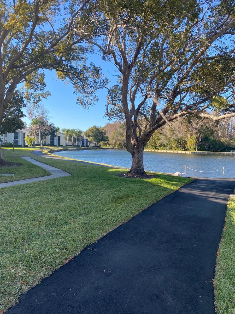 PINE RIDGE AT LAKE TARPON VILLAGE - Residential