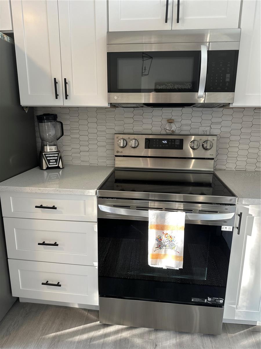 PINE RIDGE AT LAKE TARPON VILLAGE - Residential