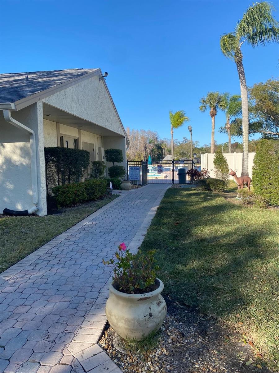 PINE RIDGE AT LAKE TARPON VILLAGE - Residential