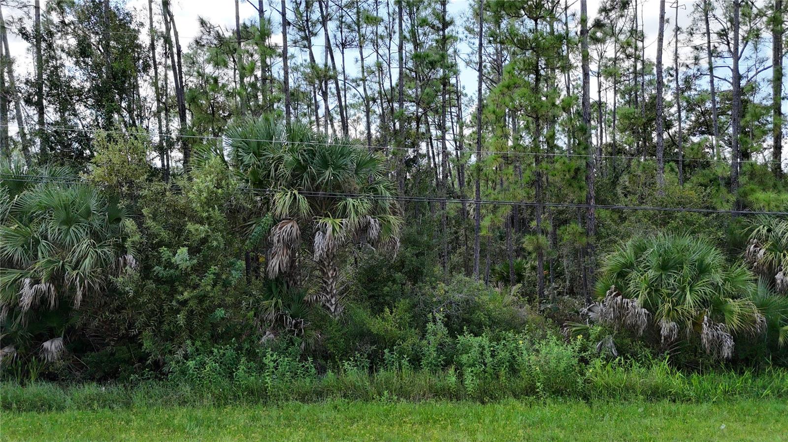 NORTH PORT CHARLOTTE ESTATES - Land