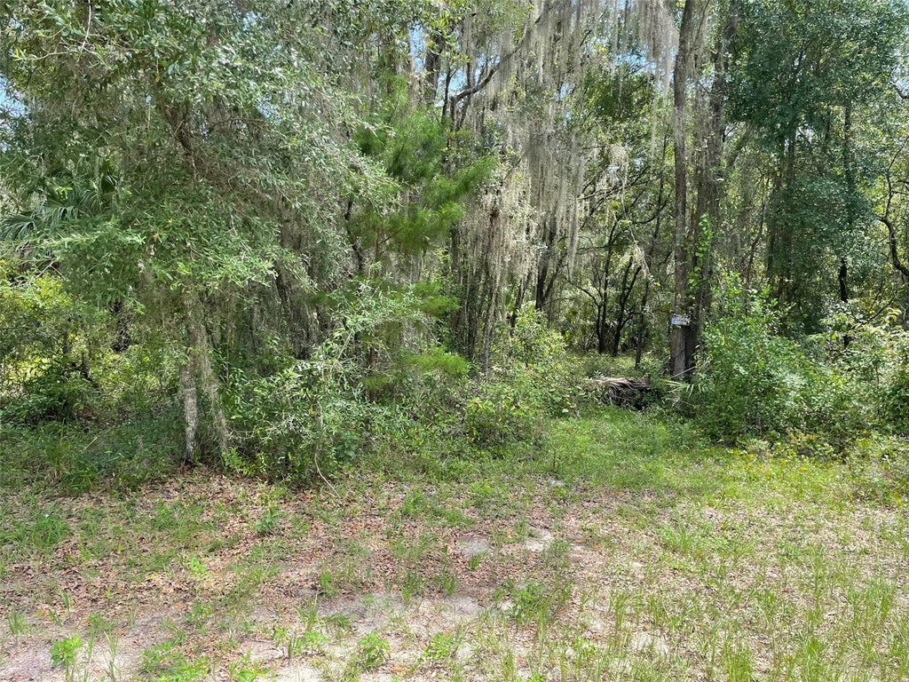 Photo of 15 SW Shorewood Drive, Dunnellon, FL 34431 (MLS # OM734211)