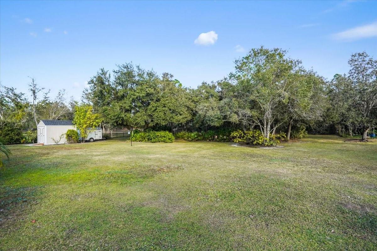 POMELLO CITY CENTRAL - Residential