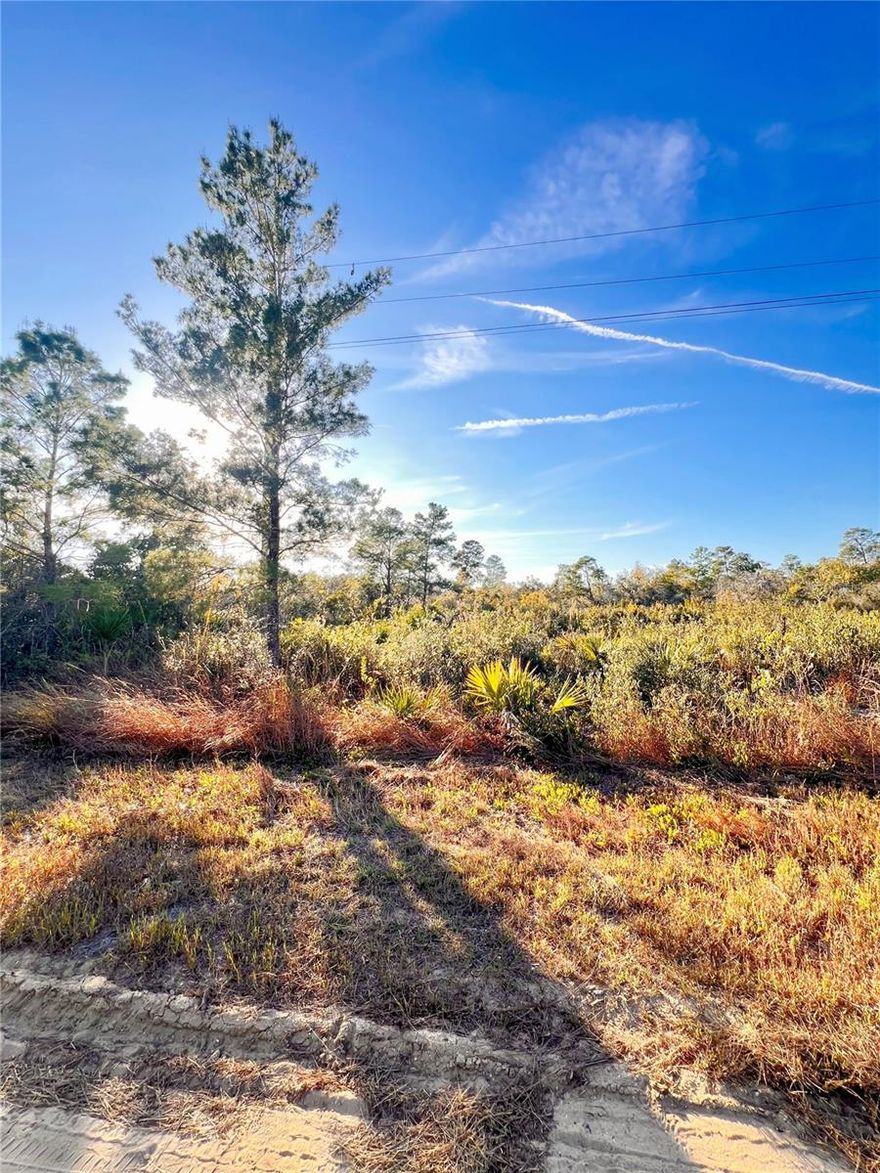 Discover the perfect opportunity to build your DREAM HOME in the heart of LAKE PLACID. This beautiful vacant lot at 110 Dartmoor Ave offers the ideal blend of tranquility, convenience, and Florida outdoor living. Located just a few blocks from the WINDY POINT BOAT RAMP to Lake Istokpoga, one of Florida’s premier fishing and recreational lakes, you’ll enjoy quick access to world-class bass fishing, boating, and breathtaking sunsets.

The property sits in a peaceful neighborhood with no HOA, giving you the freedom to design the home and lifestyle you’ve always envisioned. With a generous lot size and a clean, build-ready canvas, this parcel is perfect for a primary residence, seasonal retreat, or investment property.
***What's so special about the LAKE PLACID town?*** Lake Placid is known for its peaceful small-town charm, beautiful natural surroundings, and vibrant local culture. Often called the “TOWN OF MURALS,” the community features nearly 50 outdoor murals throughout downtown, along with being recognized as the CALADIUM CAPITAL OF THE WORLD. With 27 freshwater lakes — including the renowned Lake Istokpoga, one of Florida’s top fishing destinations, residents enjoy exceptional boating, fishing, and outdoor recreation. The area offers a relaxed lifestyle, friendly community atmosphere, and convenient access to parks, shops, and local amenities, making it one of Florida’s most inviting hidden gems. 
Enjoy the charm of Lake Placid’s small-town feel. Whether you’re looking to build now or secure land for the future, this location offers exceptional value and endless potential.  Seller is also open to a trade for 1–2 acres of agricultural land.
Don’t miss your chance to own a piece of paradise just moments from LAKE ISTOKPOGA, LAKE JUNE IN THE WINTER AND LAKE PLACID. Opportunities like this are rare. Come see why this lot stands out from the rest.