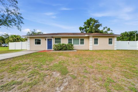 Photo of 4943 Wishart Boulevard, Tampa, FL 33603 (MLS # O6407489)