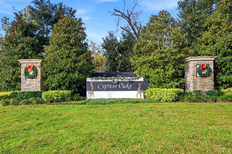 Tiny photo for 151 Maravilla Way, Groveland, FL 34736 (MLS # G5105963)