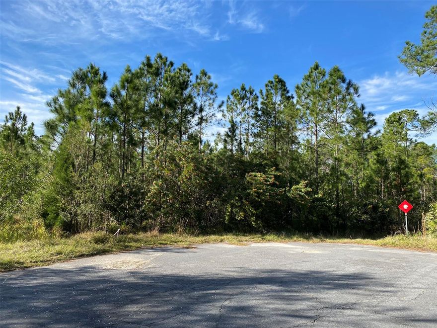 Take advantage of this private 1.47 acre cul-de-sac lot in the thriving community of
Wedgefield. This is one of the few cul-de-sac lots in Wedgefield and it will not last. A
great opportunity to build your dream home. Wedgefield is conveniently located off
Interstate 528. Orlando airport (20 min), downtown Orlando (30 min), theme parks (40
min), Lake Nona (20 min). Beautiful beaches to the East. University of Central Florida
(25 min). Research Park, the technological hub for research and development (25 min).
Port Canaveral cruise terminals (25 min). Wedgefield offers a new school (K-8), golf
course, country club, parks, and horse trails. Hal Scott Regional Preserve, adjacent to
Wedgefield, offers 9,515-acres of trails for hiking, horseback riding, mountain biking and
fishing. Buyers must conduct their own due diligence and feasibility assessment. HOA is
optional and is $50 per year!