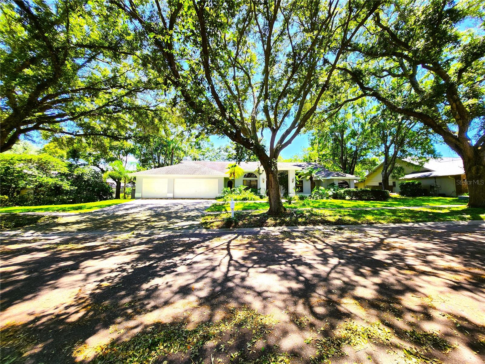 View CLEARWATER, FL 33759 house