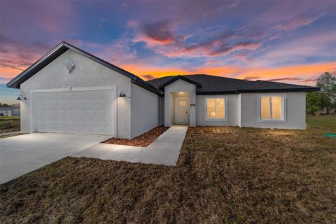 Photo of 191 Juniper Loop Circle, Ocala, FL 34480 (MLS # OM721289)