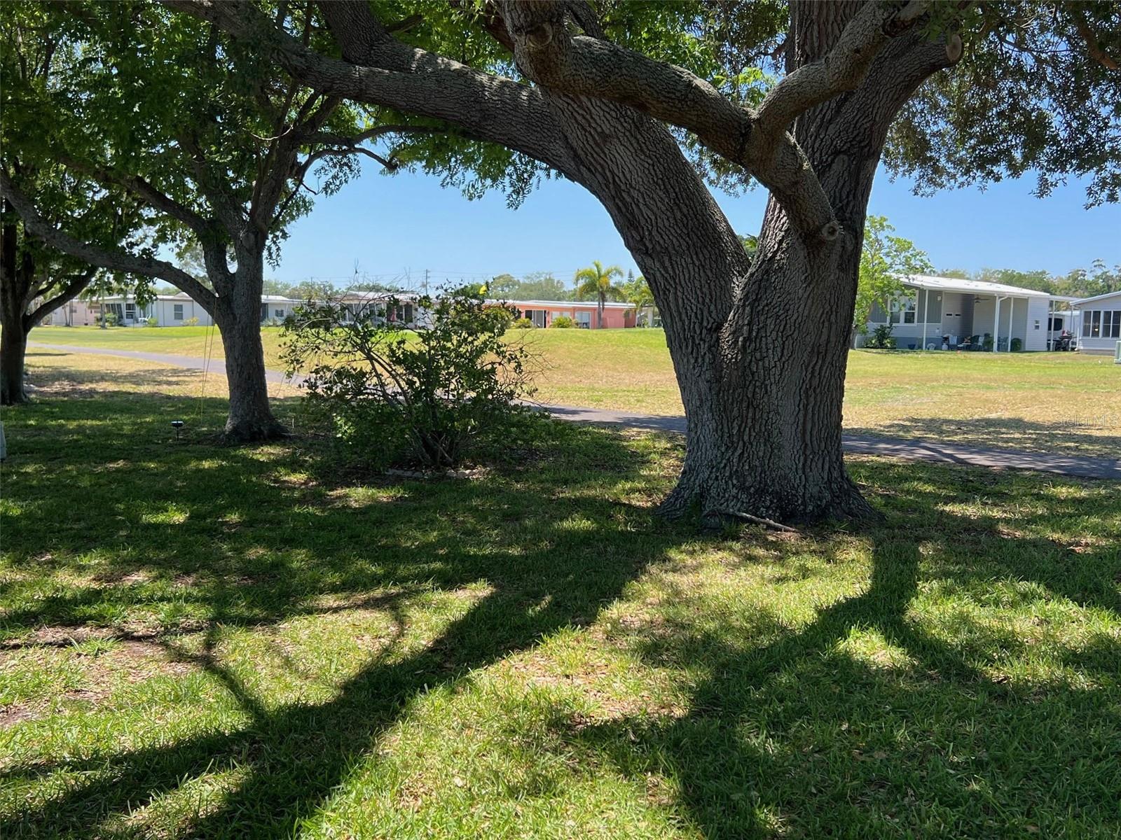 PALM HILL MOBILE HOME PARK UNREC - Residential