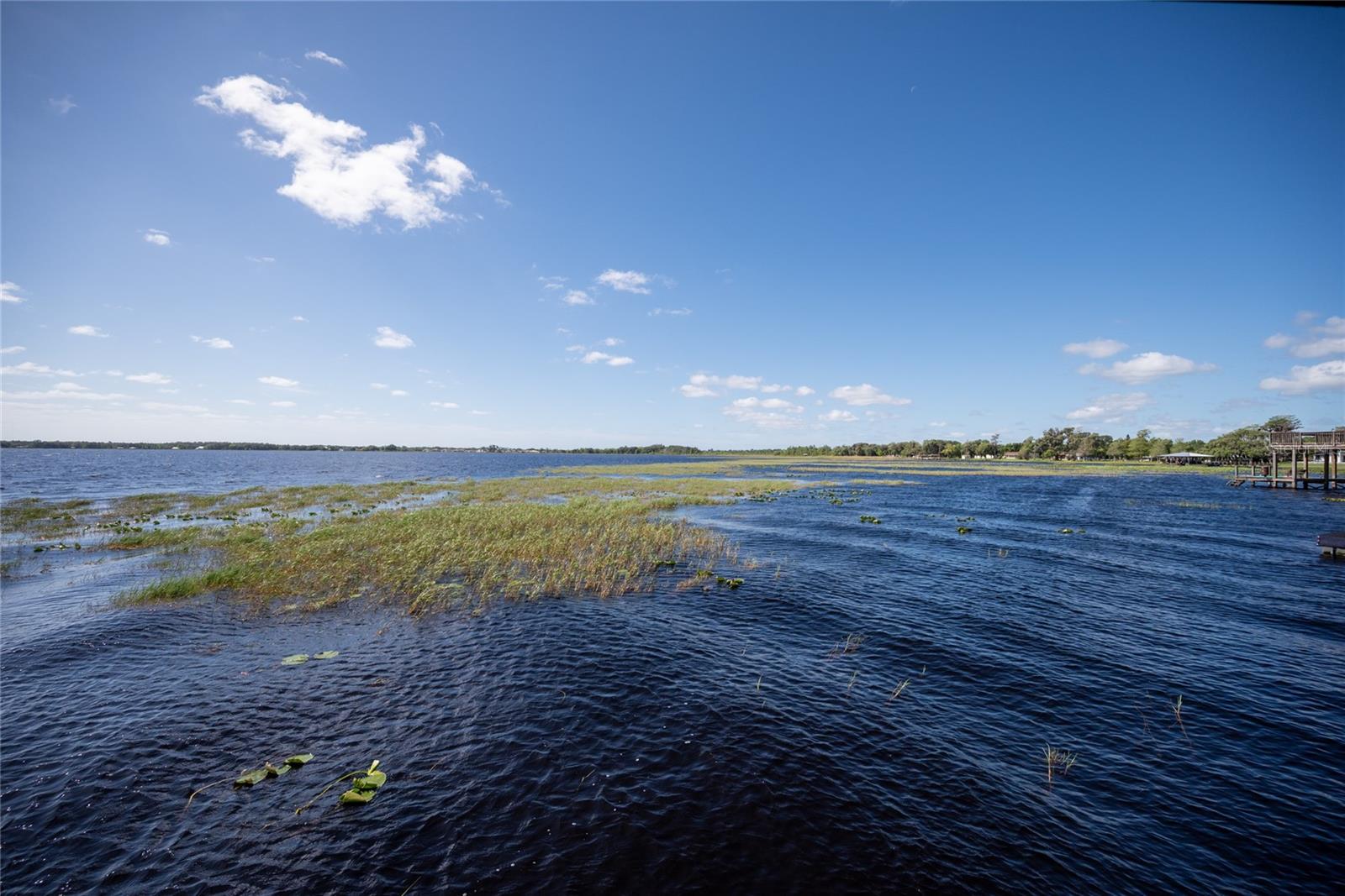 SEMINOLE LAND & INV CO - Residential