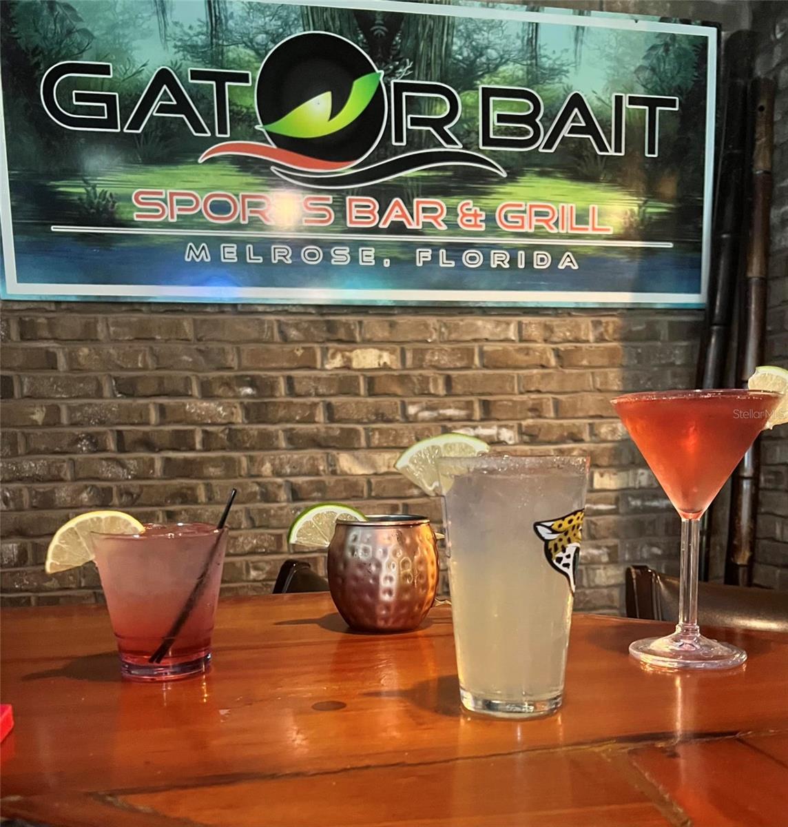 GOODSON LANDS SIMS SURVEY - Residential