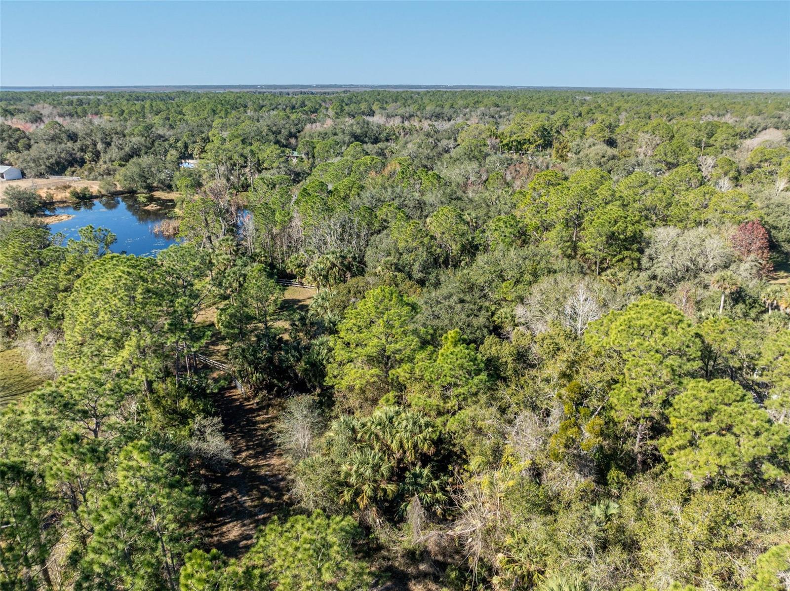 ST JOHNS RANCH ESTATES - Land