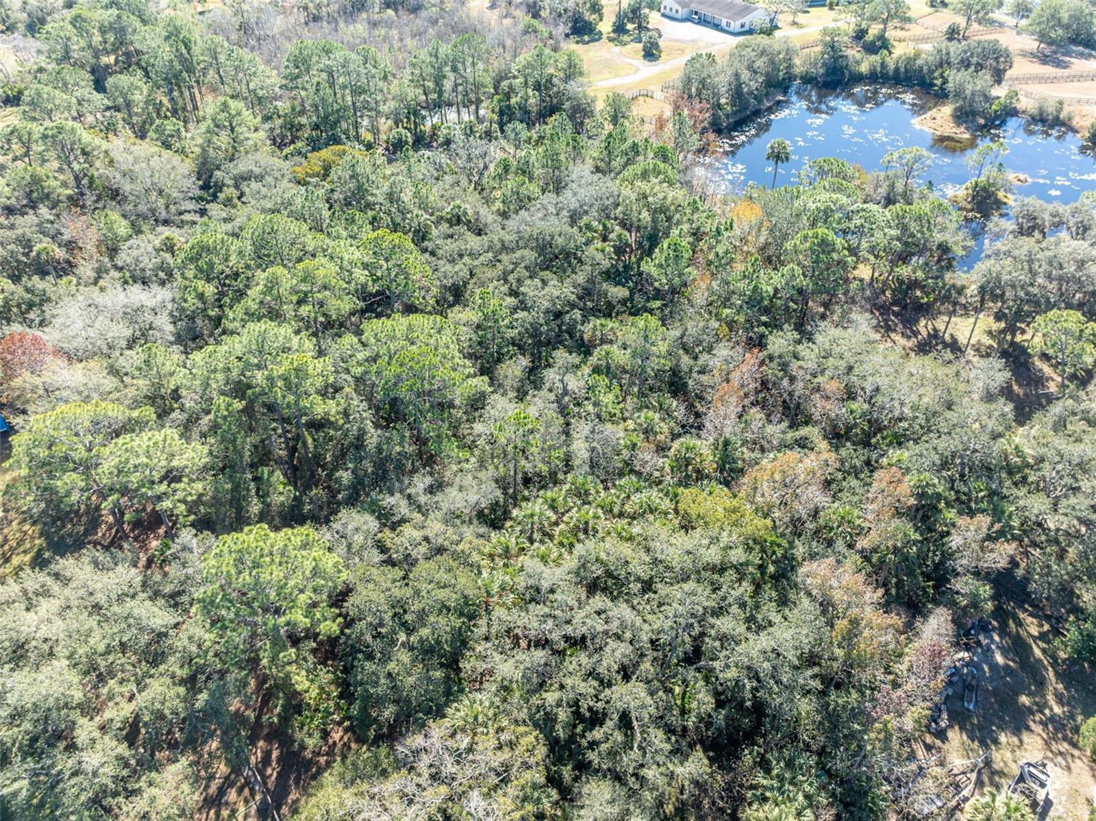 ST JOHNS RANCH ESTATES - Land