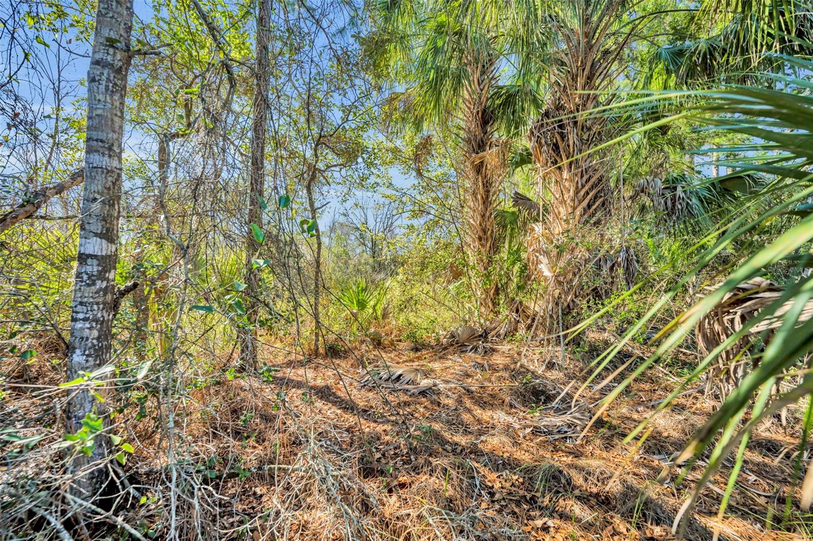 ST JOHNS RANCH ESTATES - Land