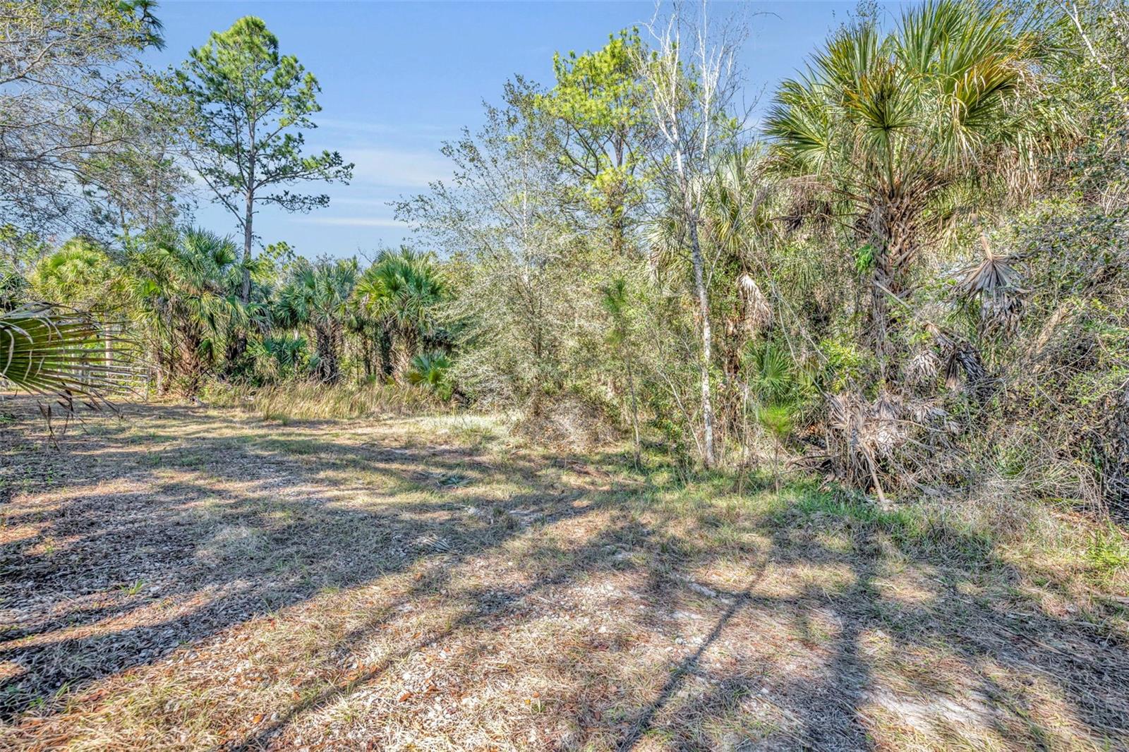 ST JOHNS RANCH ESTATES - Land