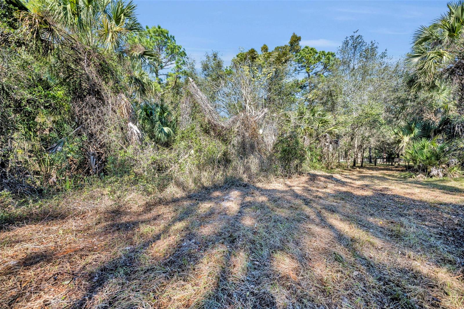 ST JOHNS RANCH ESTATES - Land