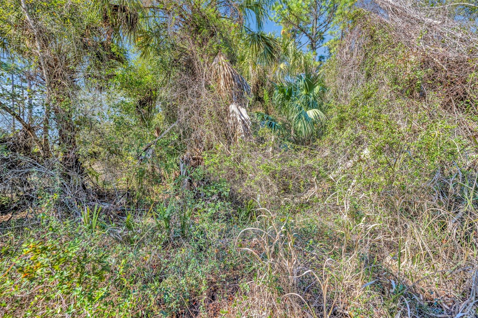 ST JOHNS RANCH ESTATES - Land