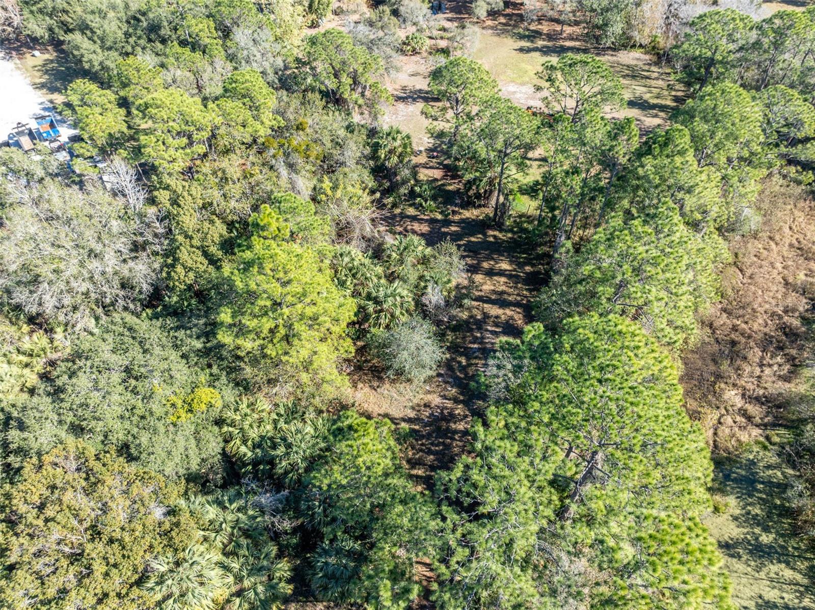 ST JOHNS RANCH ESTATES - Land