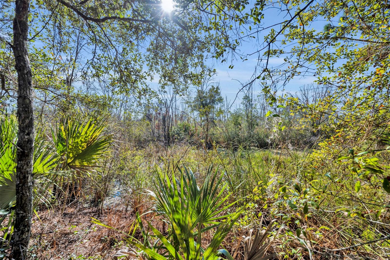 ST JOHNS RANCH ESTATES - Land