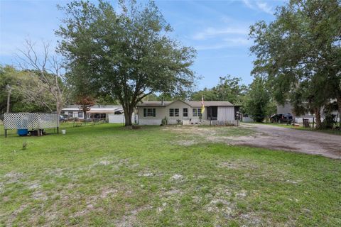 Photo of 1403 Saint Nicholas Avenue, Christmas, FL 32709 (MLS # GC538049)