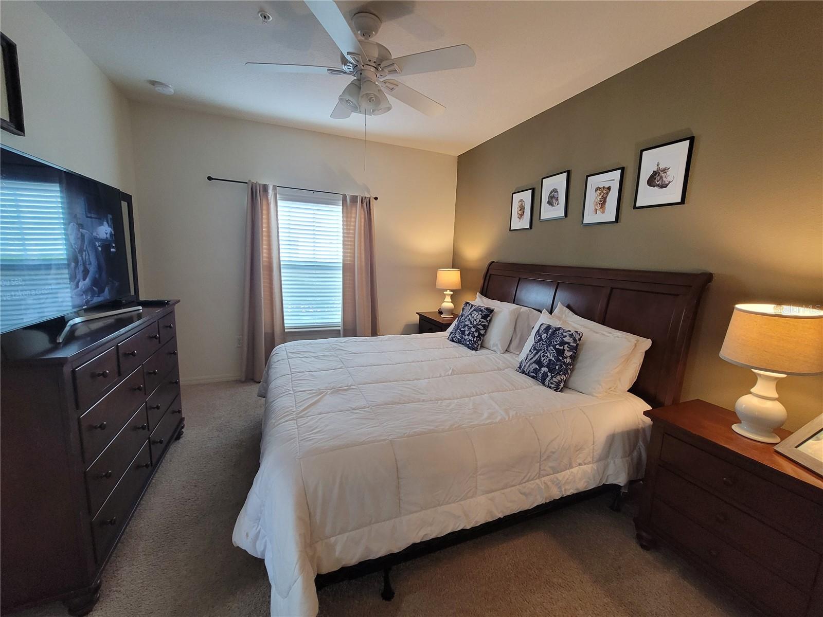 8959 SHINE DRIVE