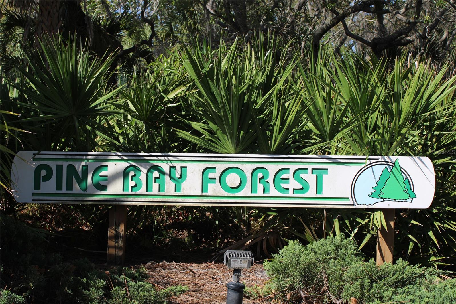 PINE BAY FOREST - Residential Lease