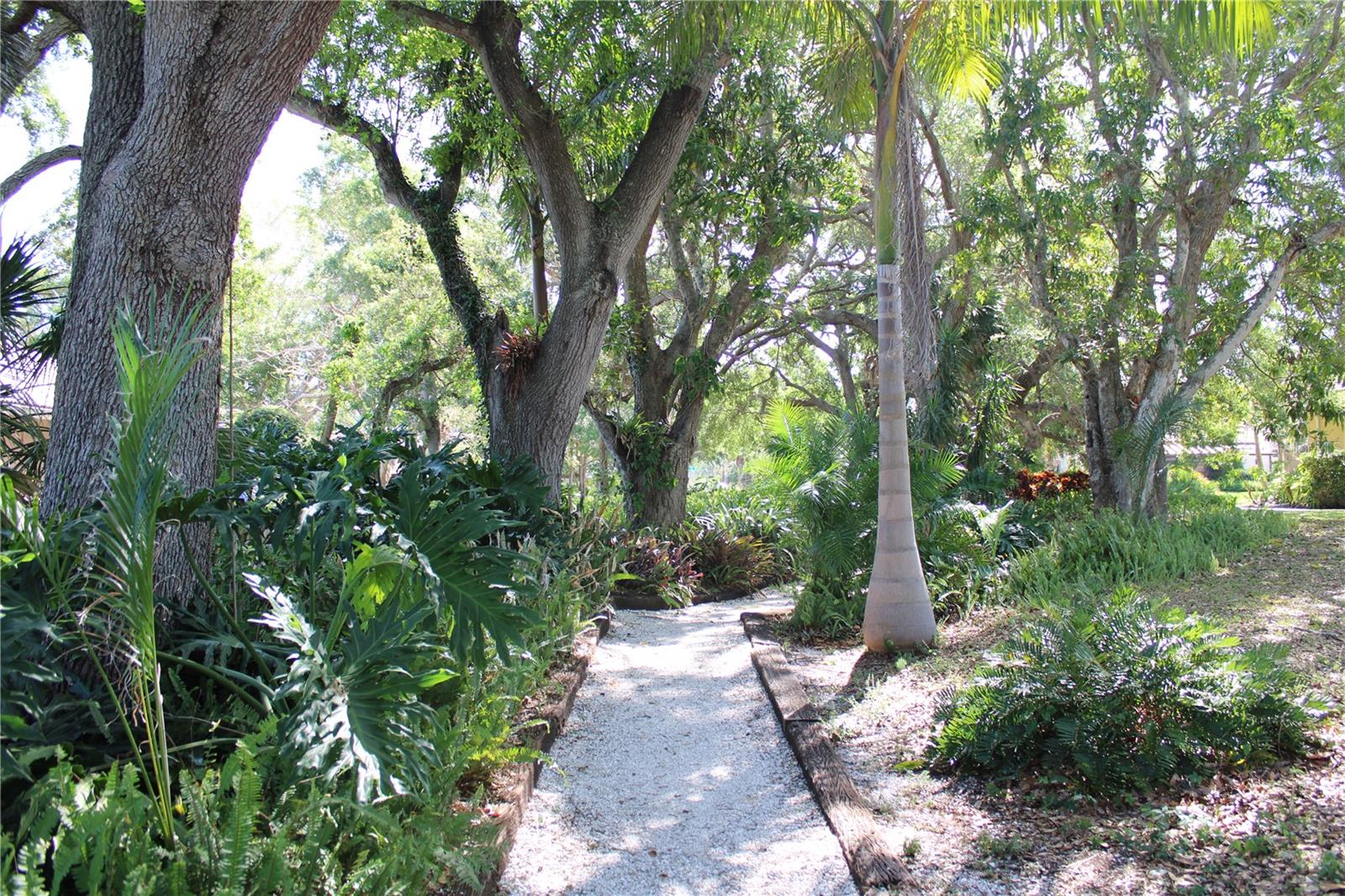 PINE BAY FOREST - Residential Lease