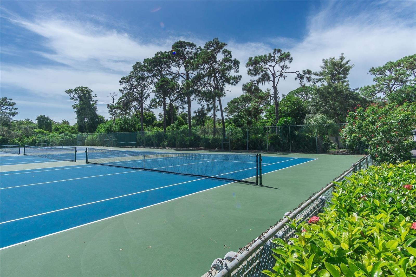 PINE RUN II - Residential Lease