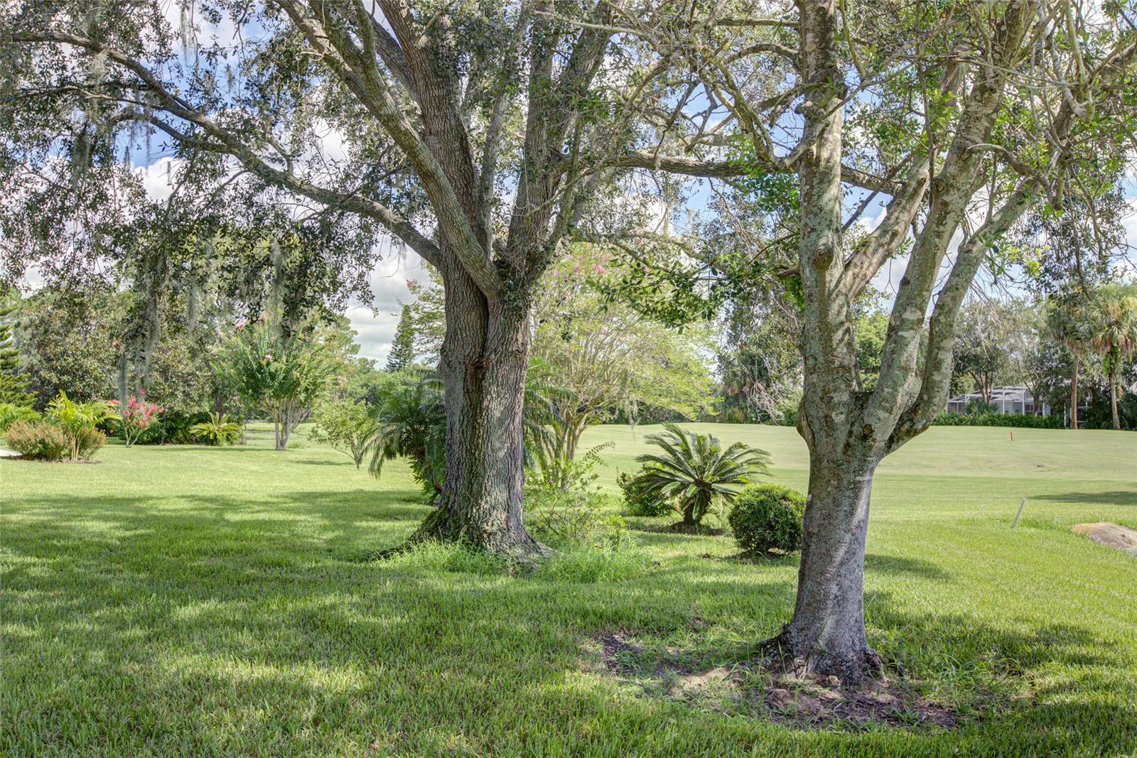 Turnbull Bay Country Club Estates - Residential