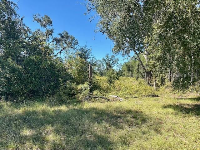 WINDING RIVER PRESERVE - Land