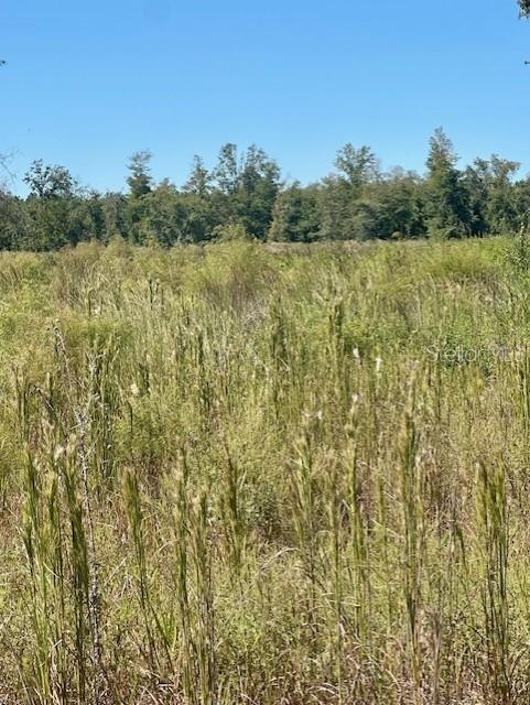 WINDING RIVER PRESERVE - Land
