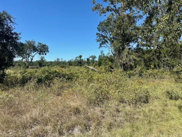 WINDING RIVER PRESERVE - Land