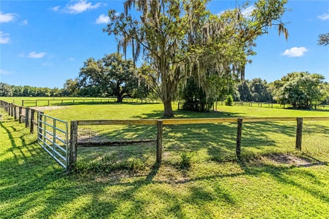 Tiny photo for 9551 NW County Road 345, Chiefland, FL 32626 (MLS # OM732698)