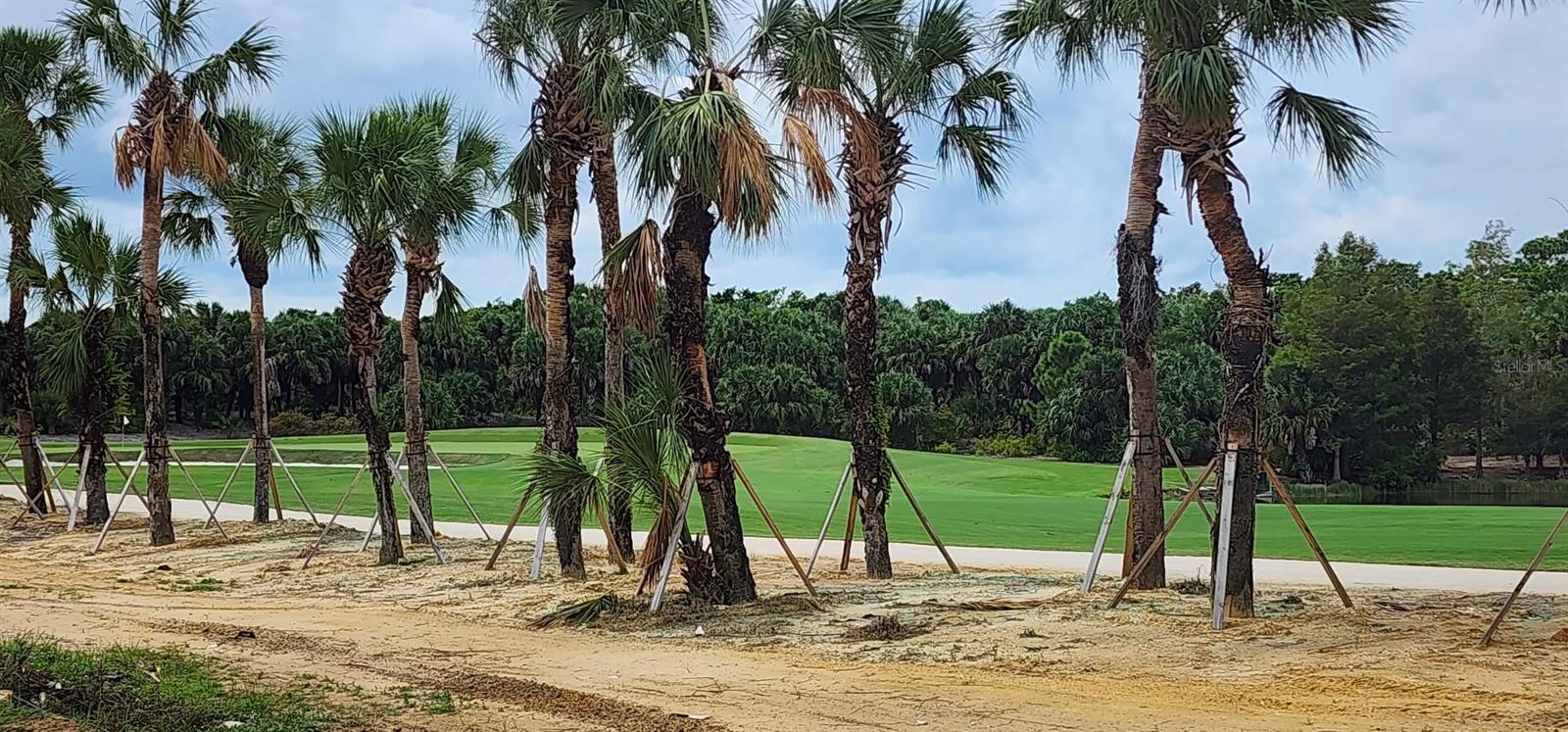 MESSINA AT MIROMAR LAKES - Residential