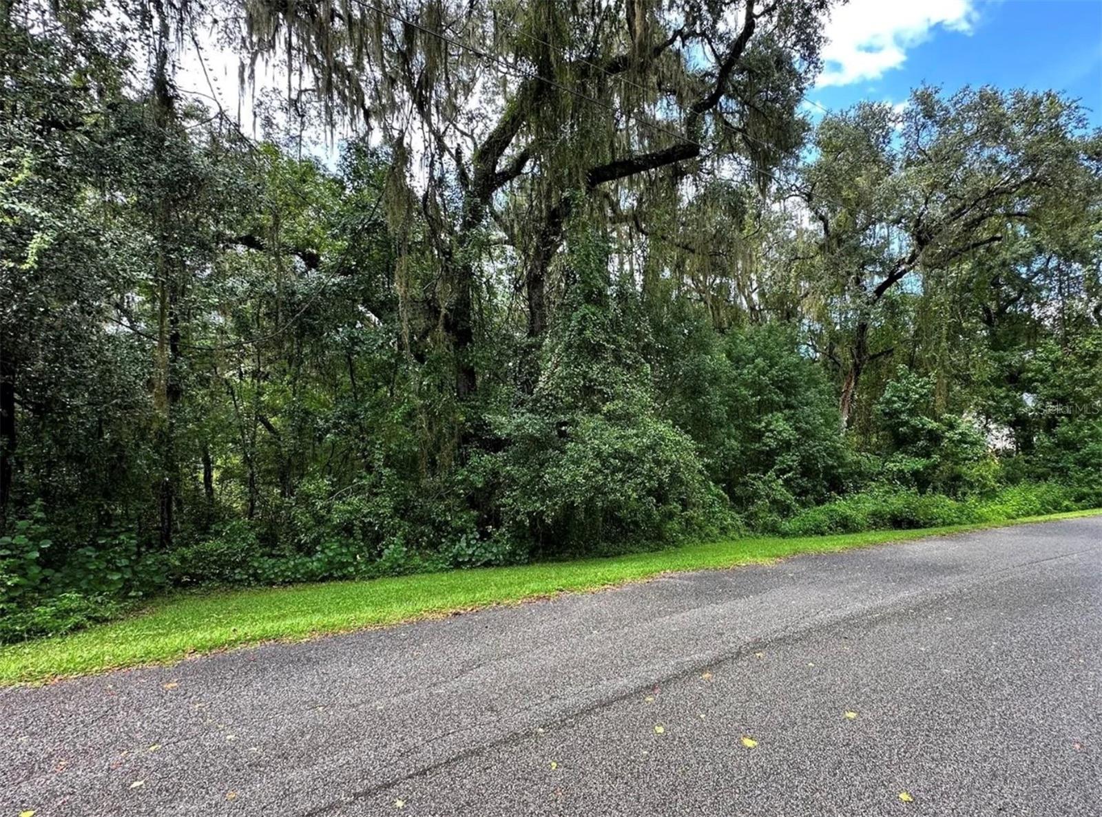 Welcome to your perfect slice of paradise in Brooksville, Florida! This stunning 2.5-acre lot is nestled in a tranquil, private neighborhood, offering the ideal setting to build the home you've always dreamed of. Surrounded
by nature and peaceful surroundings, you'll enjoy the beauty of serene country living while still having convenient access to everything you need. The property is just minutes away from I-75, making commuting a breeze,
and it’s only 45 minutes from Tampa, where you’ll find a vibrant city life, shopping, dining, and entertainment. For those who travel often, Tampa International Airport is just about an hour away, offering easy access for
flights. Additionally, this prime location is a short one-hour drive to Orlando, giving you access to world-class attractions and amenities. This 2.5-acre lot offers ample space to design and build the home of your dreams.
The property is located in a quiet, well-established community that ensures privacy and tranquility, while still offering proximity to local shops, dining, and outdoor recreation.