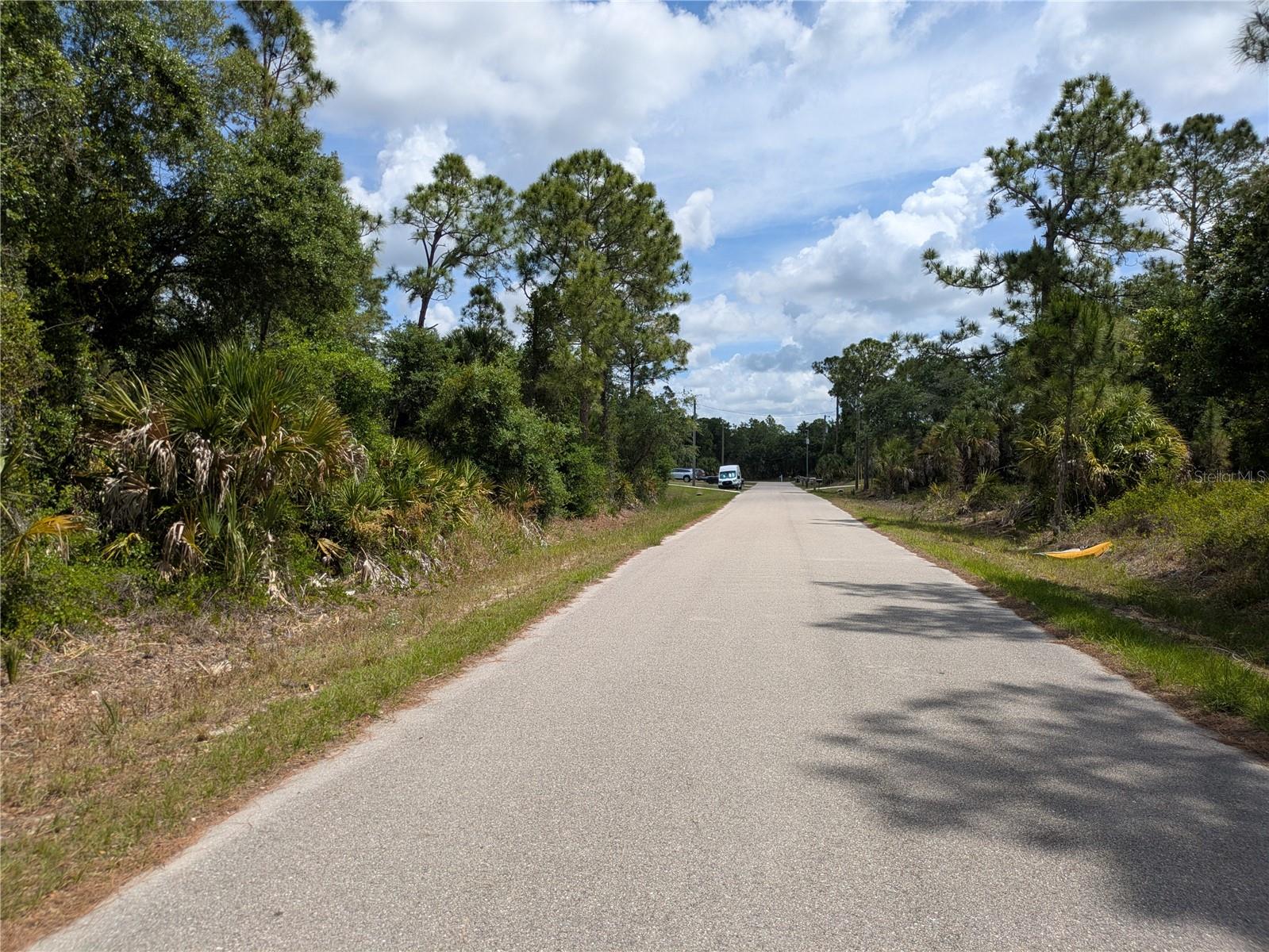DELIGHT AVENUE